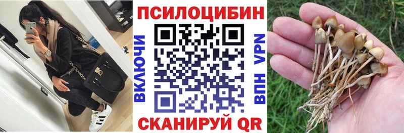 Псилоцибиновые грибы прущие грибы  Новомосковск 